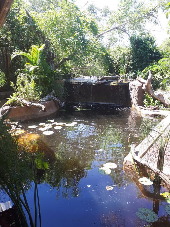 Chinderera Eco Lodge Manguzi Buitenkant foto